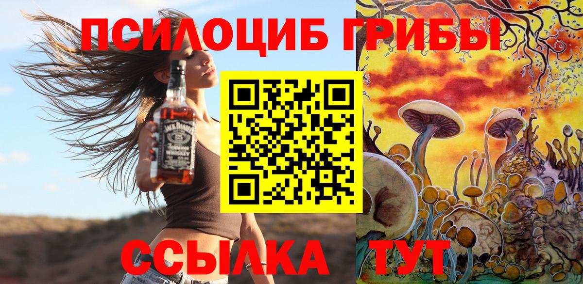Псилоцибиновые грибы GOLDEN TEACHER  Вход с VPN  Сальск 