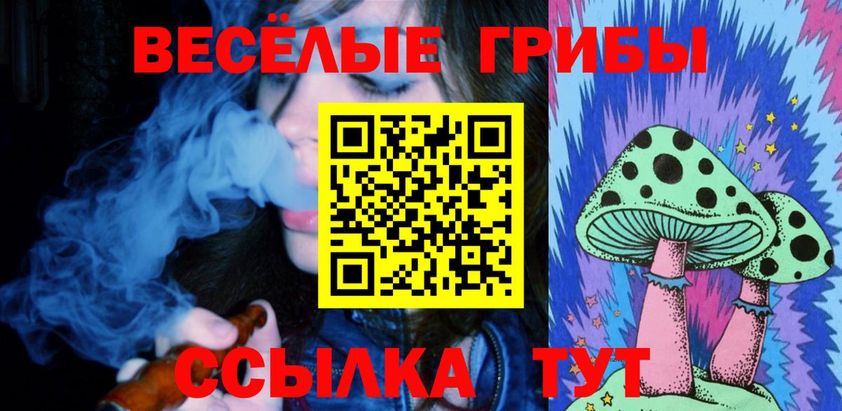 Галлюциногенные грибы мухоморы Сальск